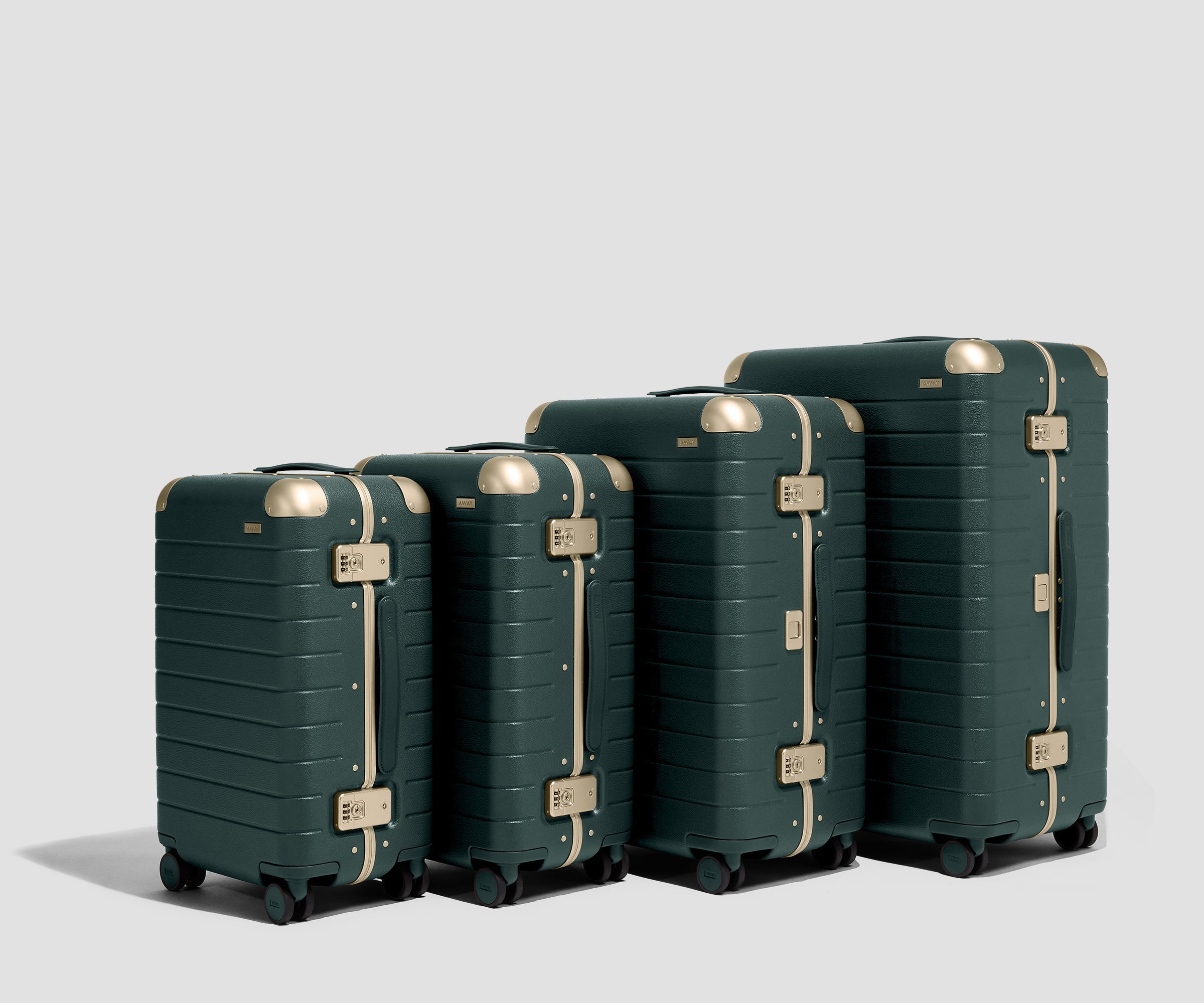 The Aluminum Edge Medium in Ivy Green