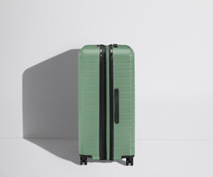 The Large Flex in Sea Green